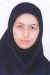 مالكى