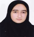 گرگانی فیروزجائی درسا