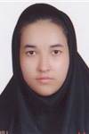 هيوه چي نفيسه
