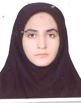صيفي زينب
