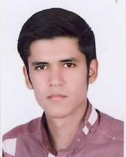 روغنى عمارتى