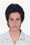 سيد محمدعلى قارى زاده