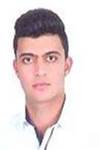 محمد رضا هادى