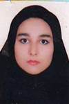 حديثه لطفى شيرمرد