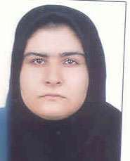 حسين زاده