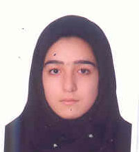حبيب زاده نشلى