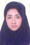 نظرى