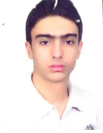 وزيرى