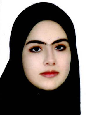 محمدى گرگه چقايى