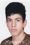 داورى