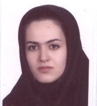 على زاده نيارى