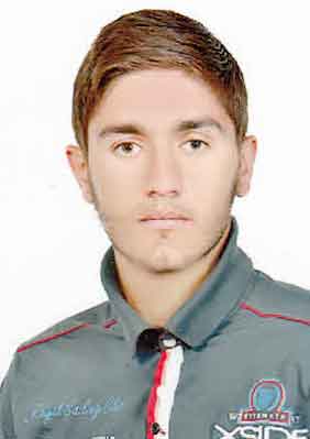 محمدى چيگوئى