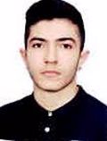 کاریزی عماد