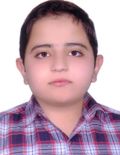 آقائی میبدی محسن