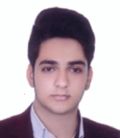 برزگر بفروئی محمدمهدی