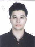 شاه غیبی پارسا