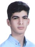 ذوالفقاری سارو