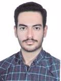 سرخابی محمدمتین
