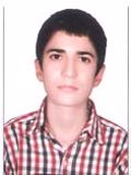 ایوبی نیما