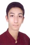 فرامرز پور دار زينى