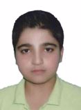 پارسا امیر محمد