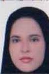 صالحى دهنو