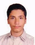 چاره ساز امیرمحمد