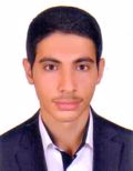 صالحی سینا