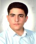ميکائيلي کنگرشاهي ارين