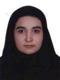 صفوي ستايش سادات