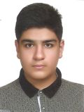 محمد اسلامي مهيني