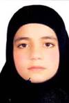 ميرشمسى