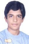 حسينى گل