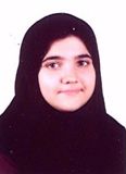 سربلند المیرا