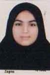 فرخ نژادى