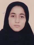 حسين بر مهسا