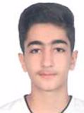 محمودی ارشد