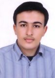 گل محمدی شورک ابوالفضل