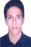 محمدى