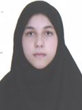 علی محمدی سیده زینب