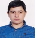حسین نسب طبری سینا