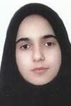 حسينى نشلجى