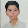 طباطبايي سيد علي