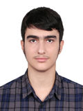 آريا معتمدي محمديان