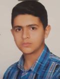 پورمند ارين