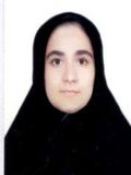 پيرا روژيا