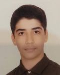 زرگري سورنا
