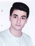 میربیک سبزواری علیرضا