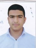 شاه کرمی علیرضا