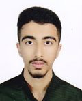 میردریکوند امیرحسین